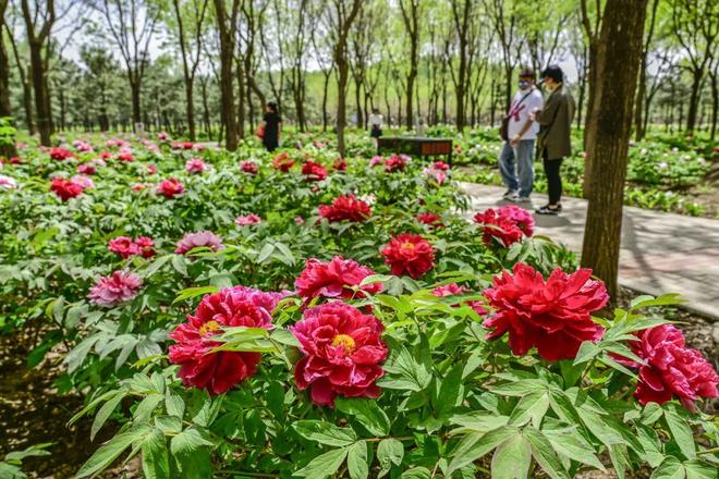 ：三大+书市+特色小镇打卡文旅新地标J9九游会120小时玩转副中心-2(图3)