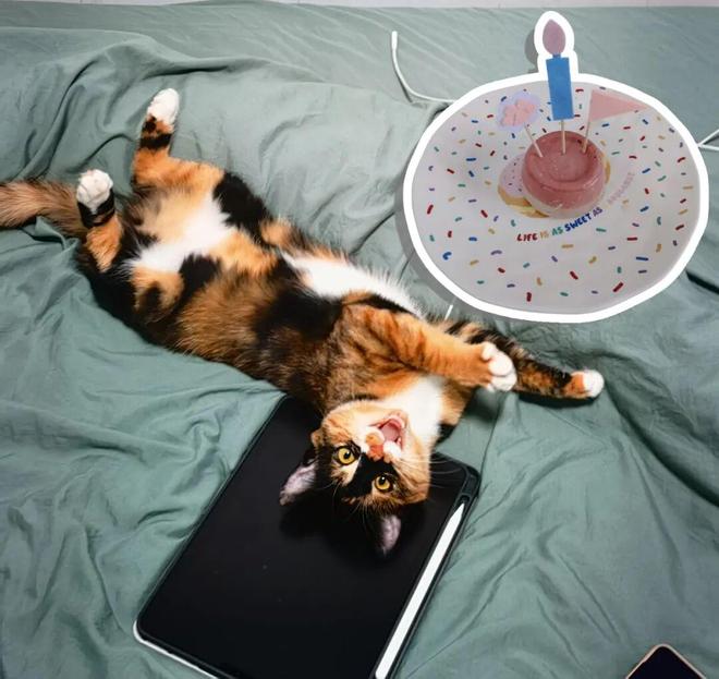 好久没讲这么高兴的事儿了j9九游真人游戏